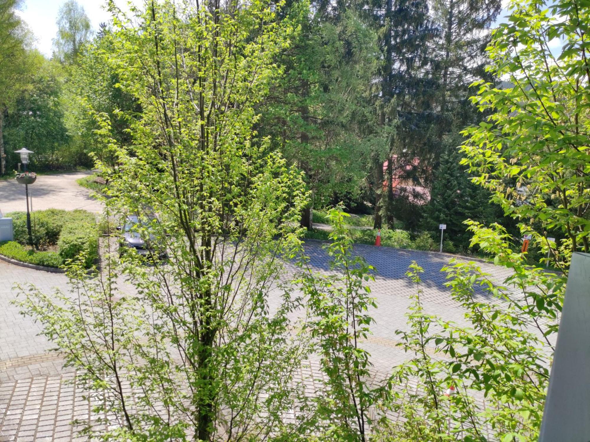 Tiche Anenske Apartmany S Hotelovym Servisem, S Kvalitni Bufetovou Snidani A S Exklusivnim Saunovym Wellness Grotta Spa - By Relax Harrachov Bagian luar foto